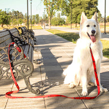 Cargar imagen en el visor de la galería, Prisma