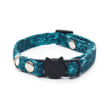 Cargar imagen en el visor de la galería, Turtle