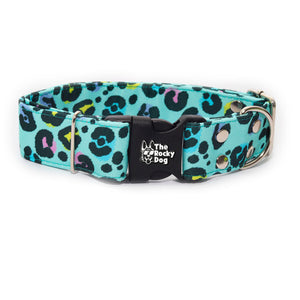 Animal Blue