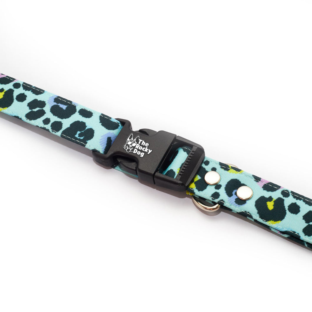 Animal Blue